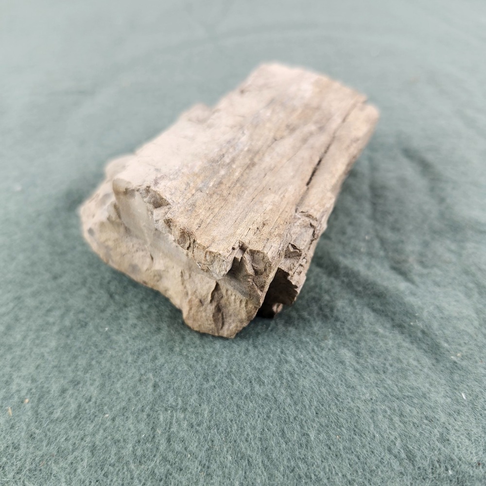 11.1 oz. Natural Petrified Wood Rough Specimen Fossil